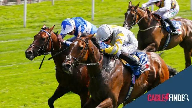 When & Where to Watch the 2024 Belmont Stakes